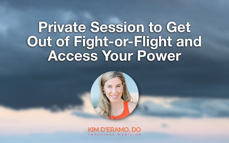 Private Session to Get Out of Fight-or-Flight and Access Your Power